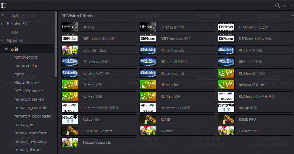 中文汉化版-慢动作降噪去闪动态模糊OFX达芬奇插件 REVisionFX v26.07 Win
