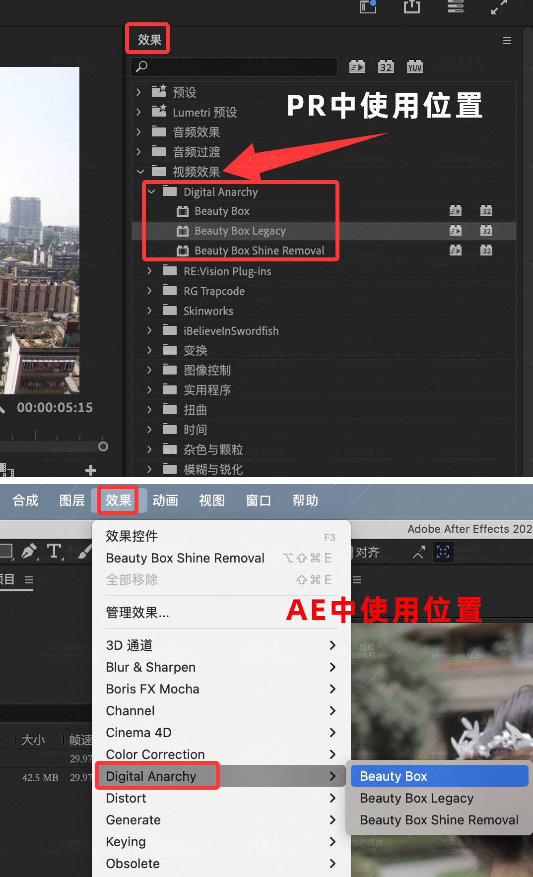 Mac苹果版-视频人像磨皮润肤美颜AE/PR插件 Beauty Box v6.0.3 支持M芯片