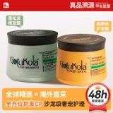 Связанная печать Xiaoyu Gotukola Miracle Dog Голова коала зеленая апельсиновая кожа прически, корень для волос, горячие и рухнутые