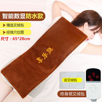 Electric Heating Salt Bag Sea Salt Shoulder Neck Hot Compress Warm Palace Moxibustion Home physiotherapy bag Nursing waist coarse salt bag to get wet
