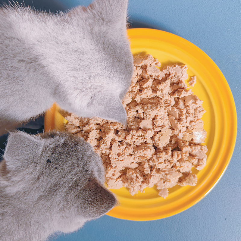 Cat Canteen Duck and Rabbit Formula Hypoallergenic Main Food Cooked Cat Meal Homemade Fresh Meat Main Food Wet Food Kitten Fresh Food Monthly Meal Plan