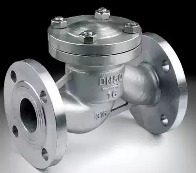 H41W-16P 304 stainless steel flange horizontal check valve Swing check valve DN65 80 100
