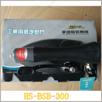 Authentic Dragon Brand HS-BSP-300 Pressed All Steam Industrial Iron Insulated Stainless Steel Iron HS-C2