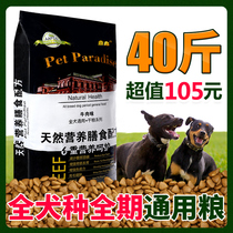 Dingxin dog food Universal 40 catty 20kg large dog gold mullabra Doha Shithamuytedi