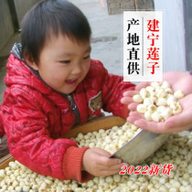 2022 New Arrivals Authentic Fujian Jianning Lotus Seeds Dry Goods Hand-De-cored White Lotus Seeds 500g Fresh Sulfur-Free Jianlian