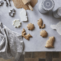 Nordic Christmas biscuit mold frosting biscuits winter animal biscuit cutting mold four-piece set