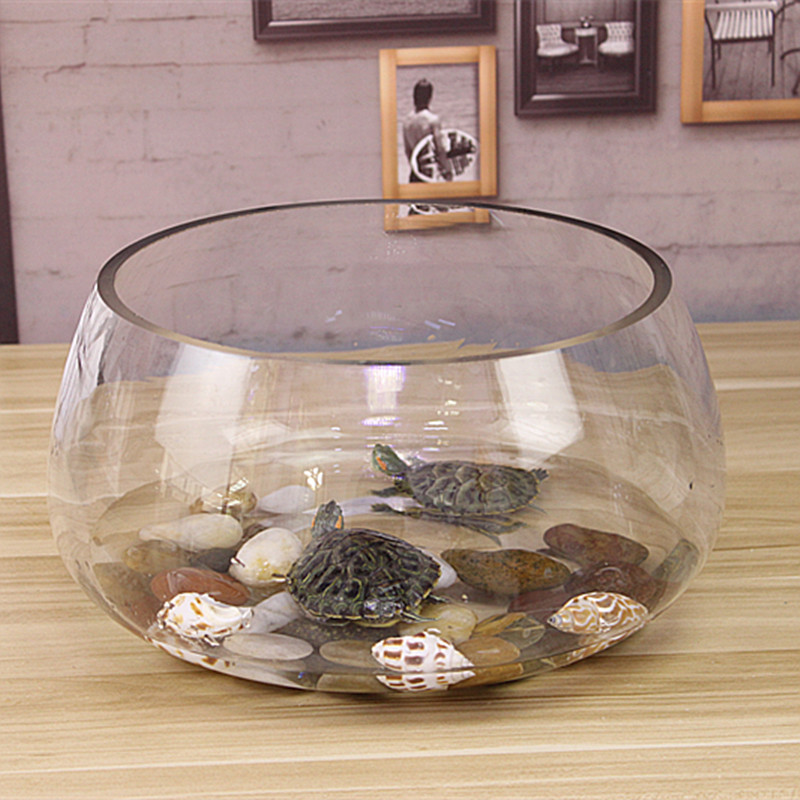 Fish tank glass round desk green water cultivation household small fish creative transparent small mini desktop turtle tank
