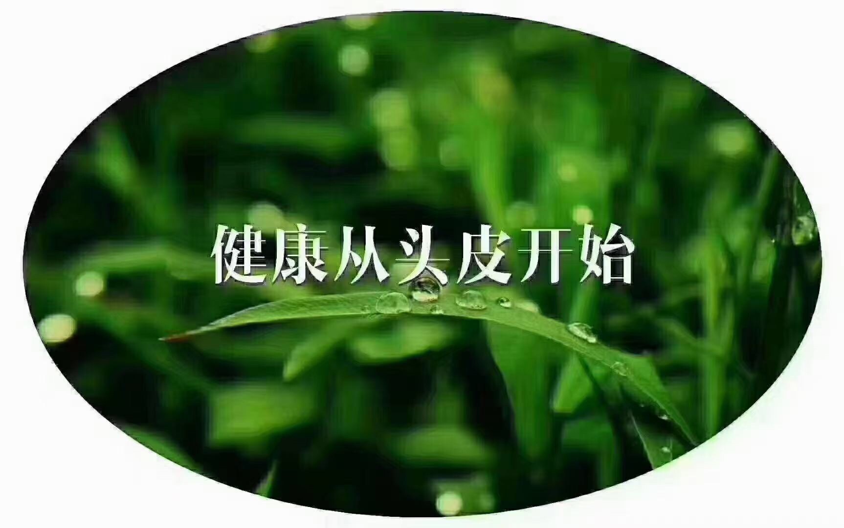 天然植物养发馆总店的LOGO