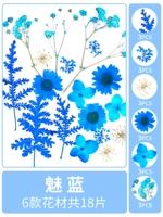 Meilan Dry Dry Dry Flower Bag 18 штук