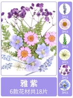 Язская сушена