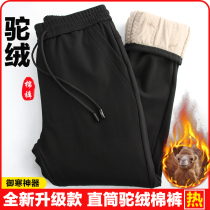 Camel Cotton Pants Male Outwear Plus Suede Thickened Winter Sports Casual Pants Middle East Windproof Warm Pants