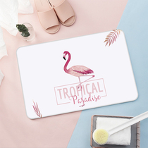 ins Nordic Wind Kieselguhr Absorbent Footbed Toilet Toilet Door Entrance Doorway Mat Speed Dry Bathroom Slip Mat