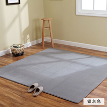 Thickened Sponge Carpet Coral Suede High Play Pure Color Living Room Tea Table Cushion Bedroom Bedside Blanket Tatami Mat Customised