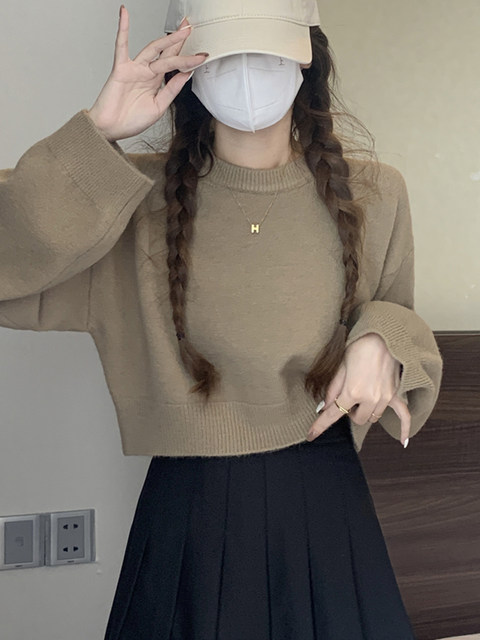 Korean Style Lazy Chic Pullover Sweater for Women 2025 Autumn and Winter Solid Color Versatile Loose Short Top for Petite Figures