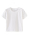 ins Korean Style Basic Round Neck Short-Sleeved T-Shirt for Women, New Summer Style, Petite High-Waisted Slim Fit Versatile Short Top
