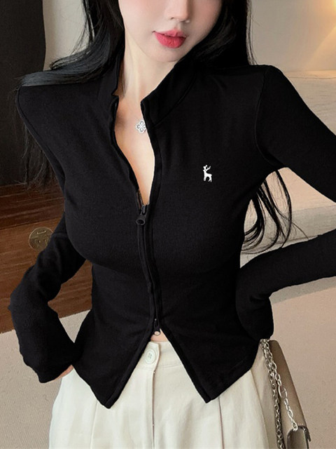 Korean-Style Minimalist Zip-Up Long-Sleeve Cardigan for Women, 2025 Autumn/Winter Season, Half-High Collar, Short Style, High-End Niche Design, Unique Top