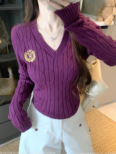 Korean-Style College-Style Cable Knit Sweater for Women, New Autumn and Winter V-Neck High-End Unique Design Top