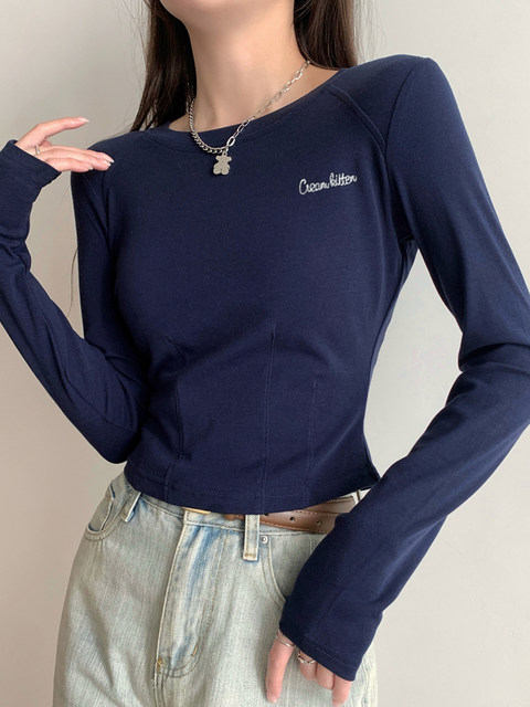 Unique Design Fishbone Round Neck Stylish Raglan T-Shirt for Women, Autumn Letter Embroidery Distinctive Pullover Short Top