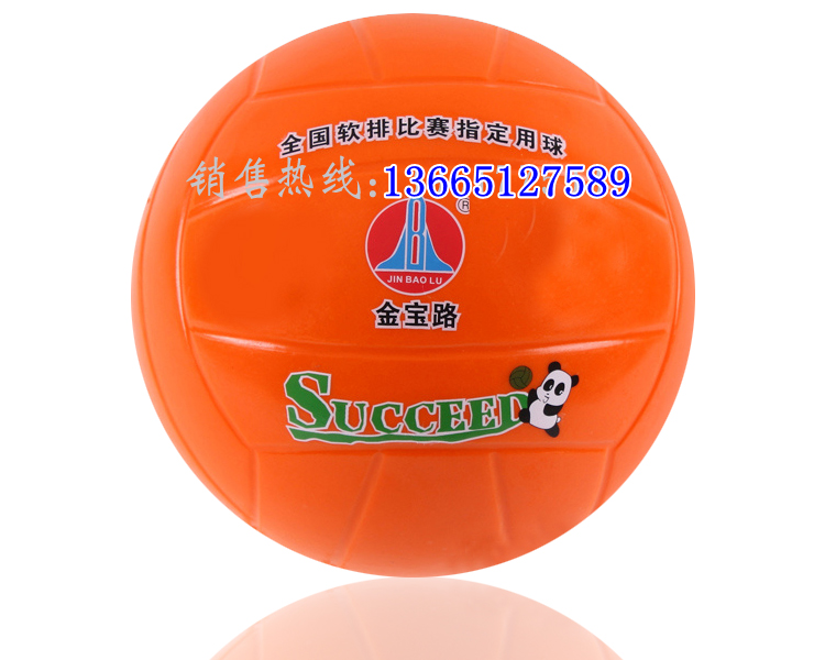Ballon de volley-ball - Ref 2011483 Image 17