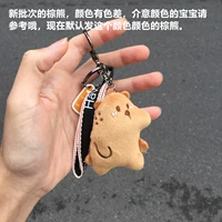 Северный буйный медведь