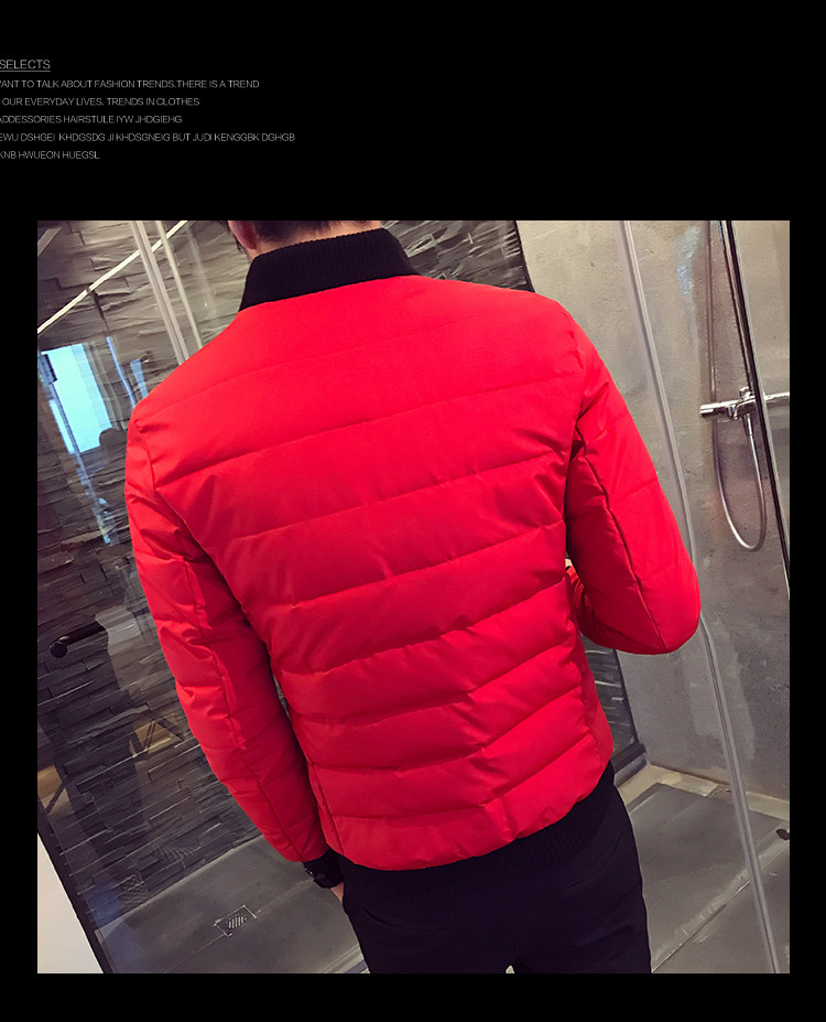 Blouson hiver pour homme   OTHER - Ref 3112047 Image 31