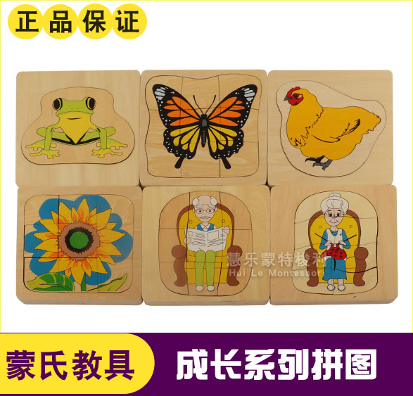 Children's early education toys Wooden puzzle growth series of hen frog sunflower boy girl growth process