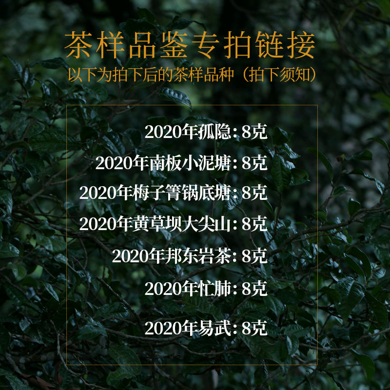 2020 tea sample special Pu'er tea raw tea Ancient tree tea pure material head spring tea