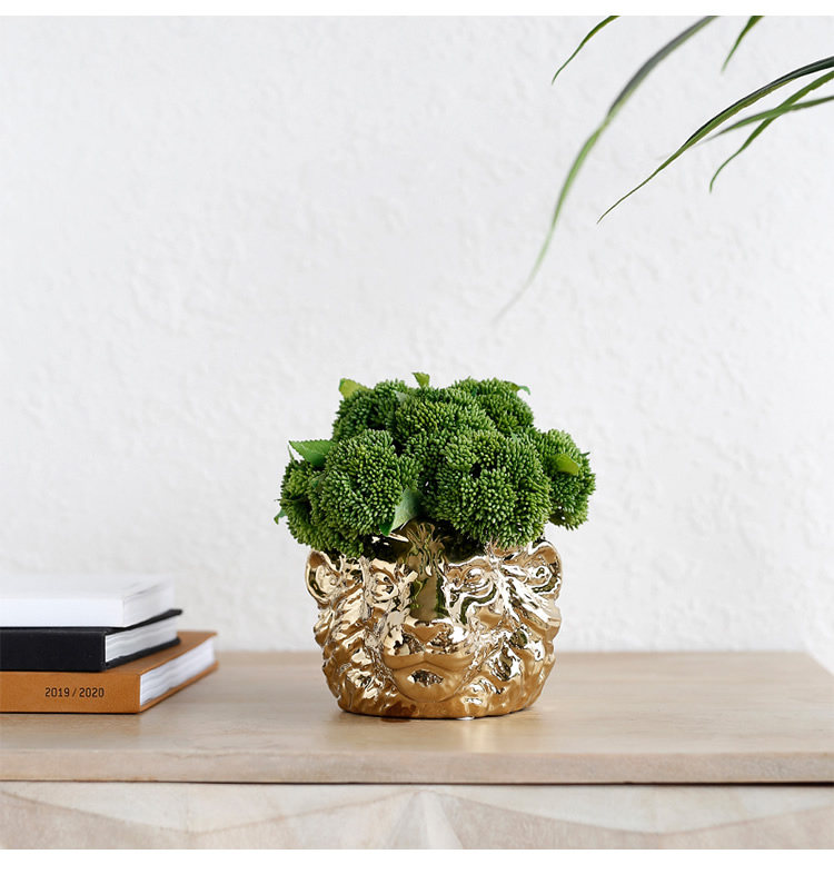 賓士印象 Ladylike獅子頭陶瓷花盆創意綠植蘭花蝴蝶蘭仿真花君子蘭盆栽 Yahoo奇摩拍賣