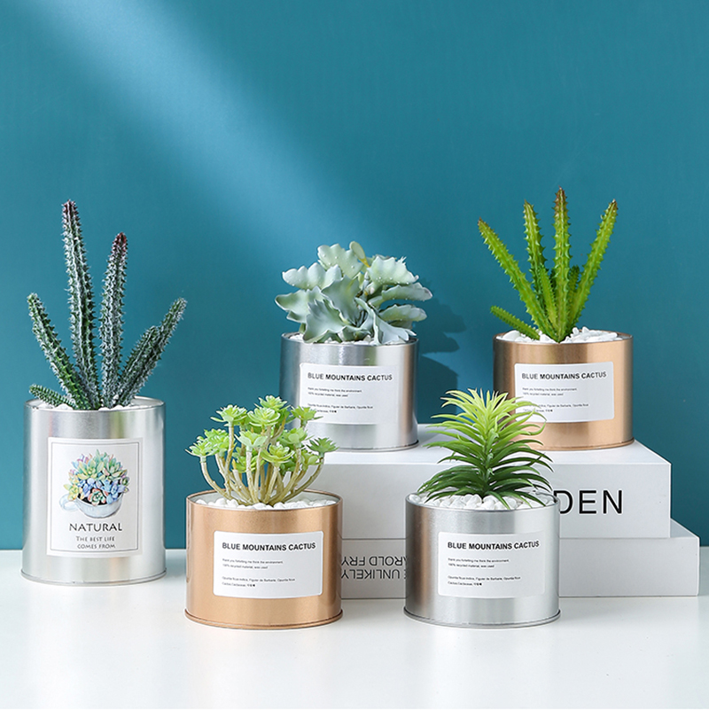 Nordic decorative small potted ornaments Indoor fake green plant flowers Desktop simulation fleshy cactus plant mini ornaments