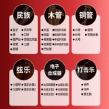 Электронные профессиональные музыкальные инструменты, новая коллекция, органы, официальный флагманский магазин, подходит для начинающих