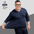 菲儿专柜