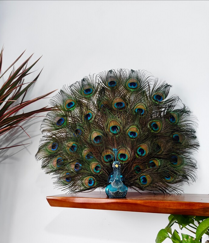 Simulated Feather Handmade Peacock with Spread Tail, Decorative Piece for Living Room and Bedroom, Props for Film and Television Scenes
