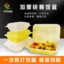 Disposable Snack Box Packaged Rice Box Rectangular Food Grade Plastic Takeaway Cover Meal Conjoined Multig Lunch Box