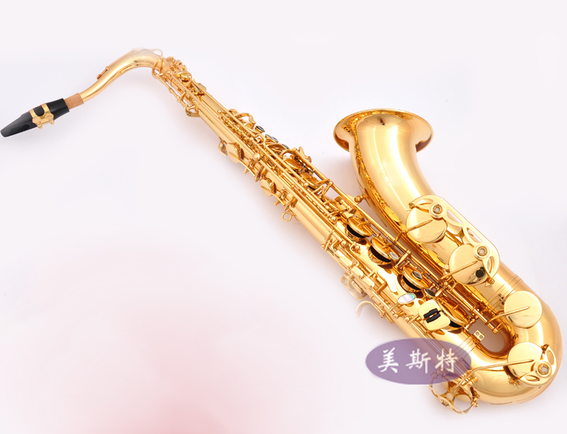 Canon musical instrument Meistersax times midtone saxophone drop B tone 210