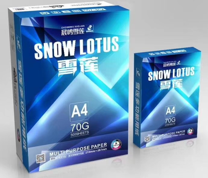 Chenming Xuelian photocopy paper 70g A4 70g copy paper A4 photocopy paper 500 a box of 4000 paper