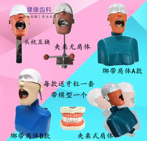 Dental head mold dental teaching model dental bionic head mold preparation tooth practice head mold shoulder body head mold