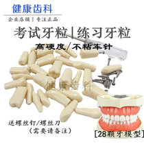 Dental exercises dental particles resin scattered teeth simulation tooth preparation tooth preparation removable