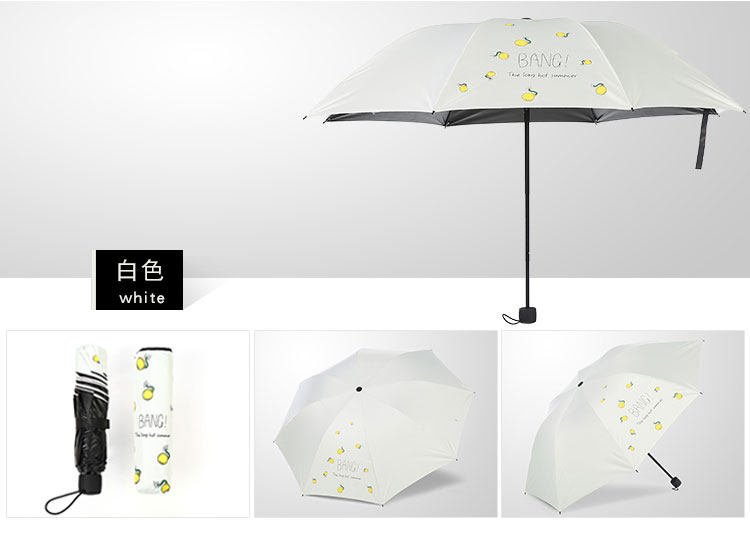  晴雨伞_08.jpg