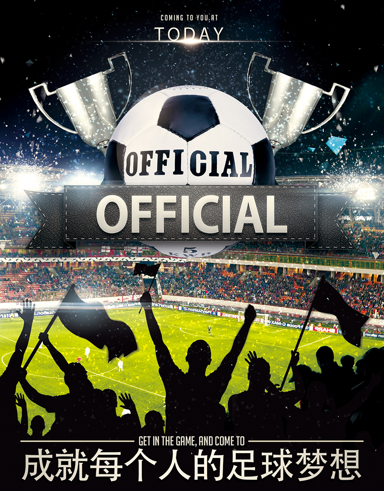 Ballon de football - Ref 5803 Image 6