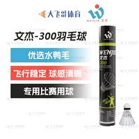 Wenjie WJ300 скорость 77 (требуется сообщение о скорости 76)