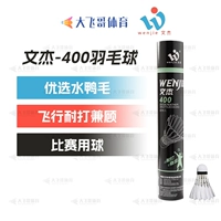 Wenjie WJ400, скорость 77 (требуется сообщение о скорости 76)
