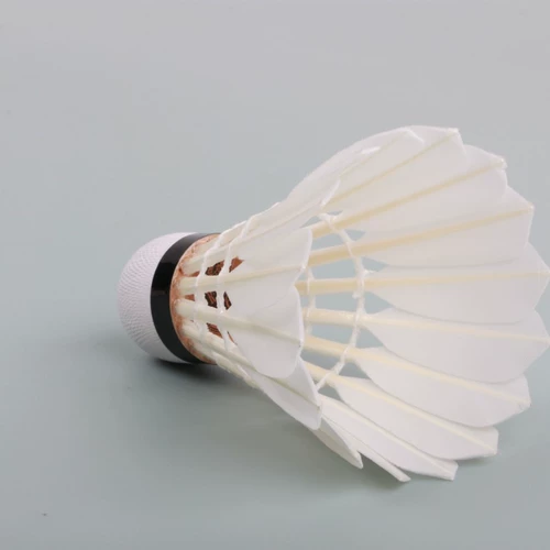 Ya Lion RSL Badminton A6 Club 6 Клубные тренировочные полеты и борьба с утиными волосами бадминтон бадминтон