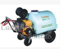 Gasoline high-performance high-pressure cleaner 3WZ-300T