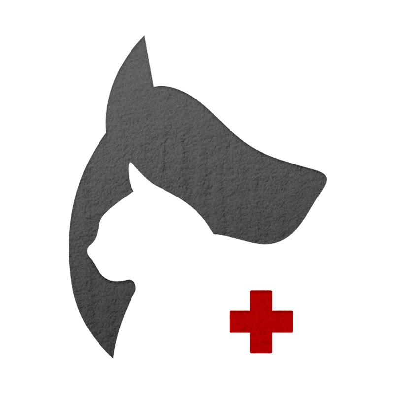 汤爸宠物的LOGO