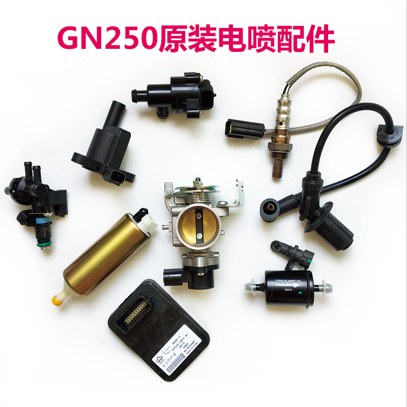 Wangjiang GN250 EFI original loading accessories Fuel pump Gasoline pump ECU Throttle Oxygen sensor