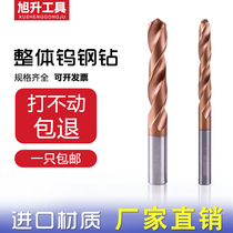  Cemented carbide drill bit Tungsten steel superhard Germany Japan perforated integral coating 58 degree stainless steel twist drill bit
