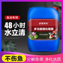 Fish pond nitrification bacteria digestion bacteria water purification agent outdoor garden garden fish pond special water fish farming supplies