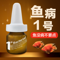 Bain American fish disease No. 1 Tropical Fish rotten tail rotten body rotten meat White Point Golden Fish Fish medicine Luohan Koi