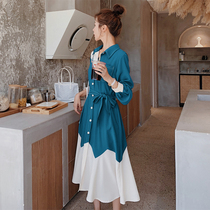 French skinny fishtail dress female autumn 2021 new high-end socialite temperament color light mature wind shirt long skirt