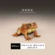 7#African Bullfrog (коричневый) изображения размера указаны